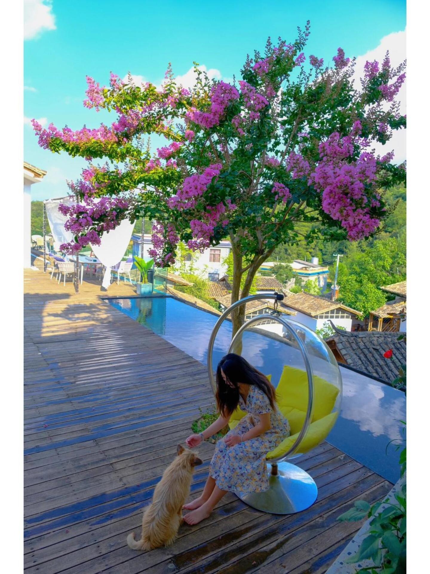 No Flowers Boutique Hostel 昆明 エクステリア 写真